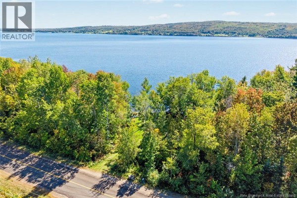 View of a large blue lake through a dense forest of green and autumn-colored trees. - 3442 Route 105, Bear Island