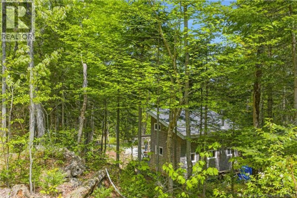 345 Ketchum Road, Kingston, NB E5N1Z6 Photo 5