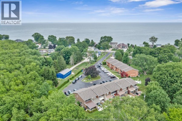 Aerial view of brick townhouses nestled among trees with a large body of water in the distance. - 345 Robson Road Unit# 18, Leamington