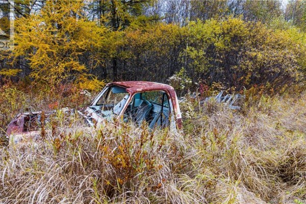 3457 Route 490, Dundas, NB E1G3R7 Photo 3