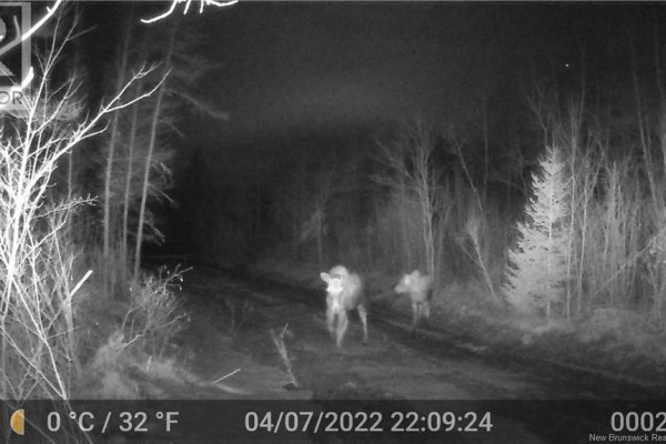 3457 Route 490, Dundas, NB E1G3R7 Photo 5