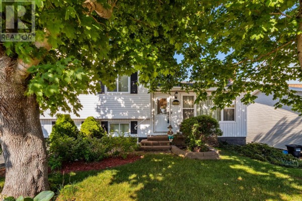 Games room - 346 Canada Drive, St  John S, NL A1E4R6 Photo 2
