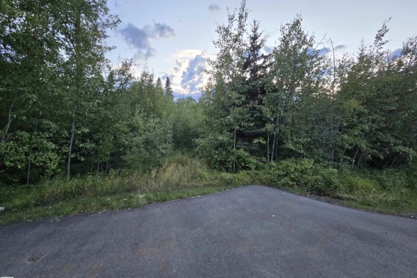 3461 Calling Lake Dr, Rural Opportunity M D , AB T0G0K0 Photo 5