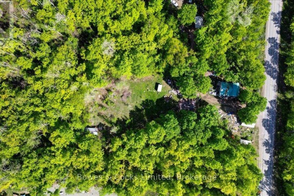Other - 3463 County Road 44, Havelock Belmont Methuen, ON K0L1Z0 Photo 5
