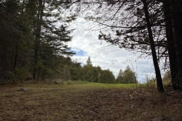 3465 Pucker Street, Greater Madawaska, ON K0J1H0 Photo 3