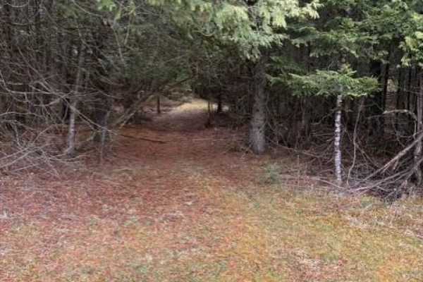 3465 Pucker Street, Greater Madawaska, ON K0J1H0 Photo 4