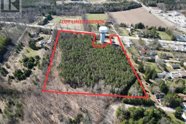 Aerial view of a wooded property with a water tower, outlined in red, near residential homes and businesses. - 34752 Mill Road, Bluewater