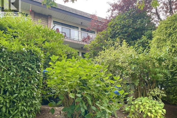 348 588 E 5th Avenue, Vancouver, BC V5T4H6 Photo 3