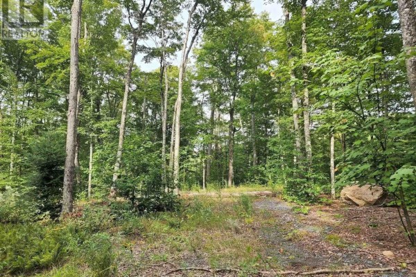 3480 Brunel Road, Lake Of Bays, ON, photo 2