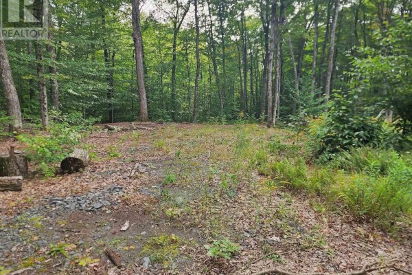 3480 Brunel Road, Lake Of Bays, ON, photo 3