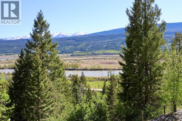 3483 95 Highway Lot# 2, Parson, BC V0A1L0 Photo 2