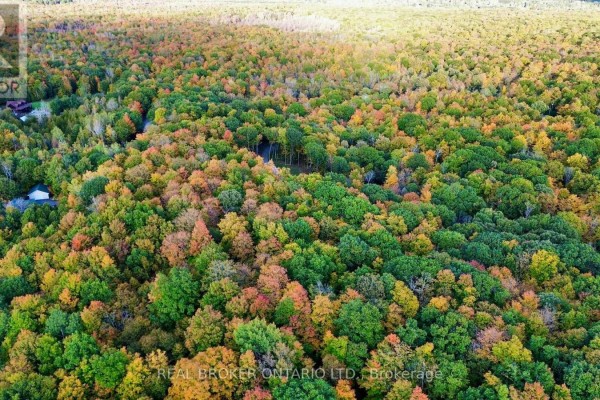 349 Burchill Road, Montague, ON K0G1N0 Photo 2