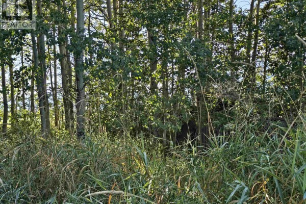 3497 Jeck Road, Mcbride, BC V0J2E0 Photo 2