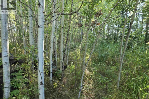 3497 Jeck Road, Mcbride, BC V0J2E0 Photo 3