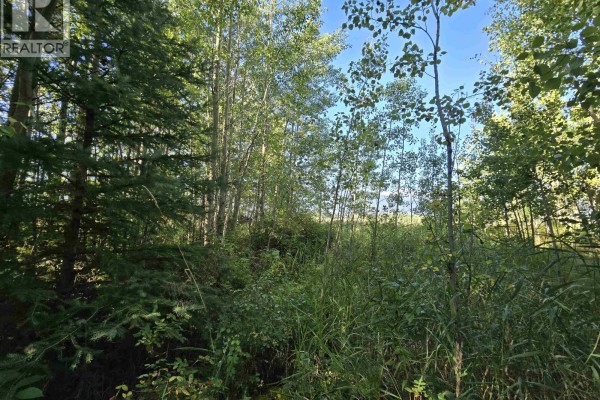 3497 Jeck Road, Mcbride, BC V0J2E0 Photo 5