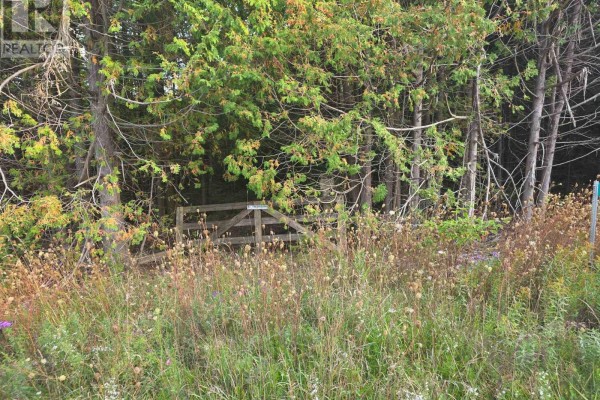 349749 4th Concession B, Grey Highlands, ON N0C1M0 Photo 3