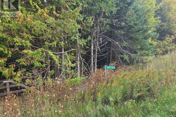 349749 4th Concession B, Grey Highlands, ON N0C1M0 Photo 4