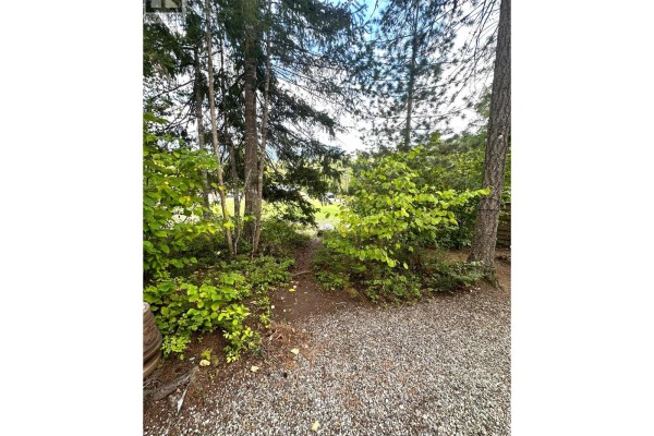 3499 Luoma Road Unit# 122, Malakwa, BC V0E2J0 Photo 4