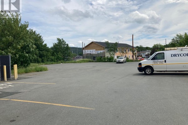 35 Campbell Avenue, St  John S, NL A1E2Z3 Photo 5