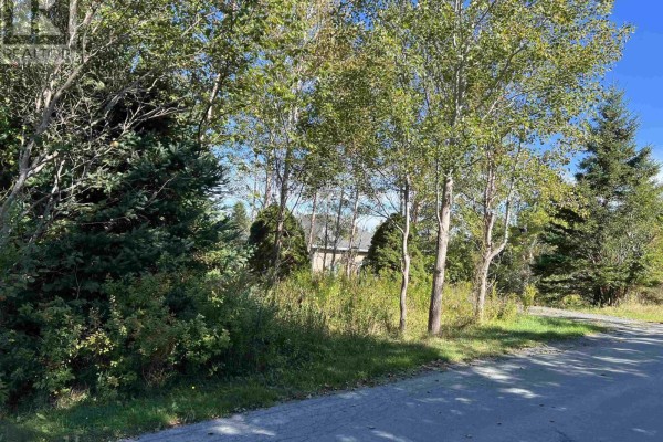 35 Rainbow Haven Drive, Cow Bay, NS B3G1K8 Photo 5
