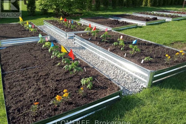 Raised garden beds with young plants and gravel pathways - 35 Tanya Drive Southwest Middlesex