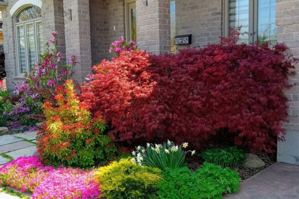 Colorful garden with Japanese maple and stone pathway - 35 Tanya Drive Southwest Middlesex