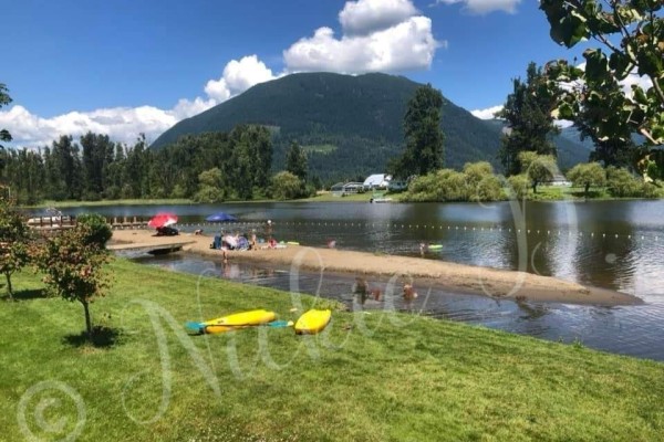350 8400 Shook Road, Mission, BC V2V7L5 Photo 5