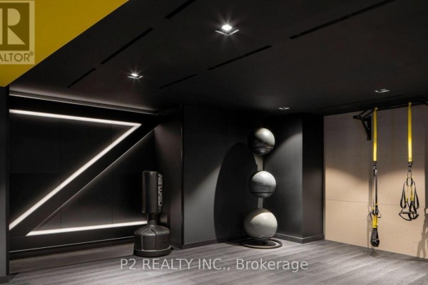 A dark gym with a punching bag, medicine balls, and suspension training equipment. - 3507 - 36 Zorra Street, Toronto