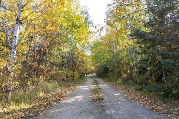 Gravel driveway curves through a forest with fall foliage. - 35091 Gueret 44e Road, La Broquerie