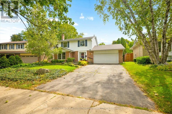 Family room - 351 Craigleith Drive, Waterloo, ON N2L5B5 Photo 4