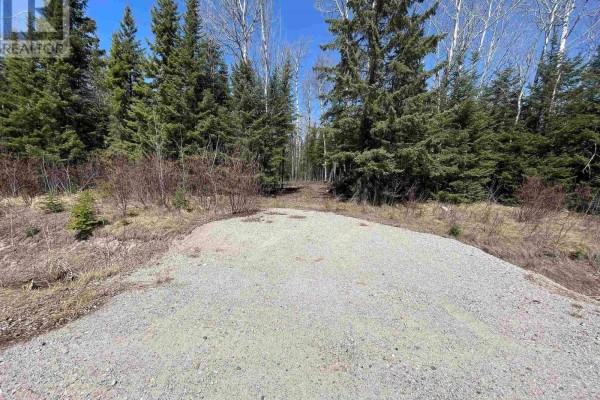 351 Thunder Lake Road, Dryden, ON P8N2Y4 Photo 4