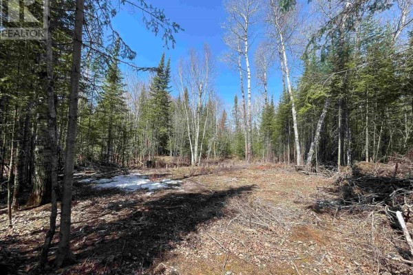 351 Thunder Lake Road, Dryden, ON P8N2Y4 Photo 5