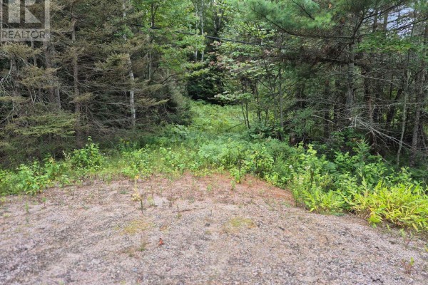 A cleared patch of sandy ground leading into a dense forest with green foliage. - 3518 Highway 17, Papineau Cameron