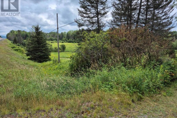 A grassy area with weeds and bushes in the foreground, a utility pole, and a distant meadow. - 3518 Highway 17, Papineau Cameron
