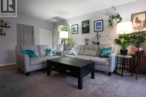 Living room with TV unit, gray sofas, and decorative elements, featuring a soft carpet. - 352 Burnside Rd W, Saanich
