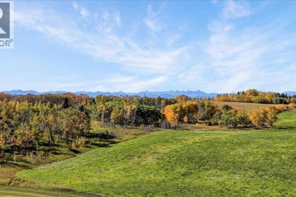 Green rolling hills with autumn-colored trees in the foreground and distant mountains. - 35254 Highway 1a, Rural Rocky View County