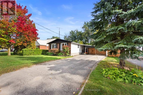 View of the brick bungalow from the side, showing a large evergreen tree and a paved driveway. - 353 Churchill Road E, Prescott
