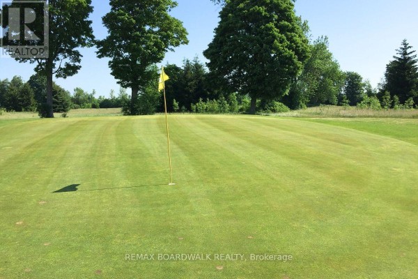 A golf course putting green with a flag and hole on a sunny day. - 353 County Rd 5 Road, Athens