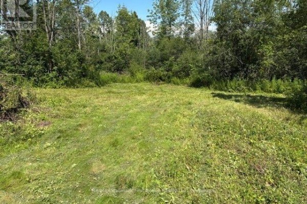 3530 Audley Road, Pickering, ON L1X2V9 Photo 5