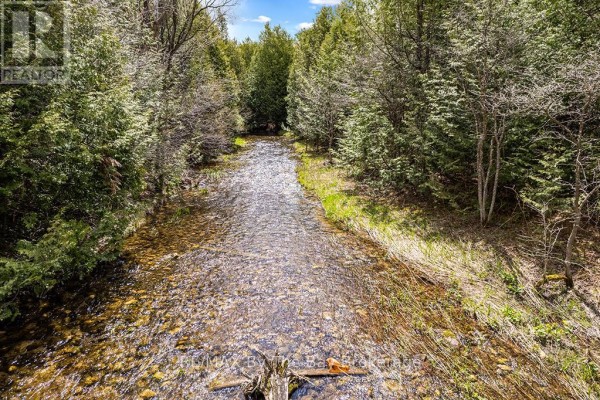 353814 Osprey Artemesia Townline, Grey Highlands, ON N0C1J0 Photo 4