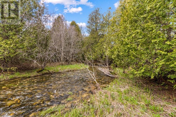 353814 Osprey Artemesia Townline, Grey Highlands, ON N0C1J0 Photo 5