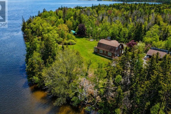 A sun-dappled grassy path leads through tall green trees toward a distant body of water. - 3539 Highway 255, Black Brook