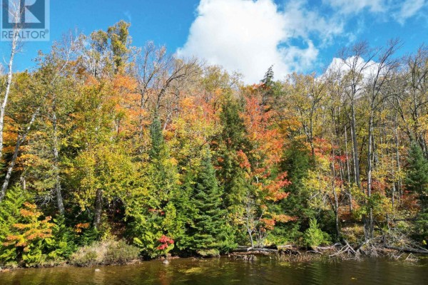 353c Balsam Creek Road, Parry Sound Remote Area, ON, photo 2