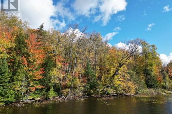 353c Balsam Creek Road, Parry Sound Remote Area, ON, photo 3