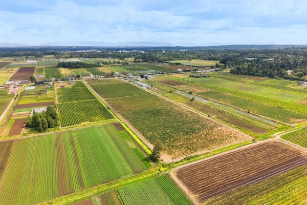 3545 176 Street, Surrey, BC V3Z1C4 Photo 5