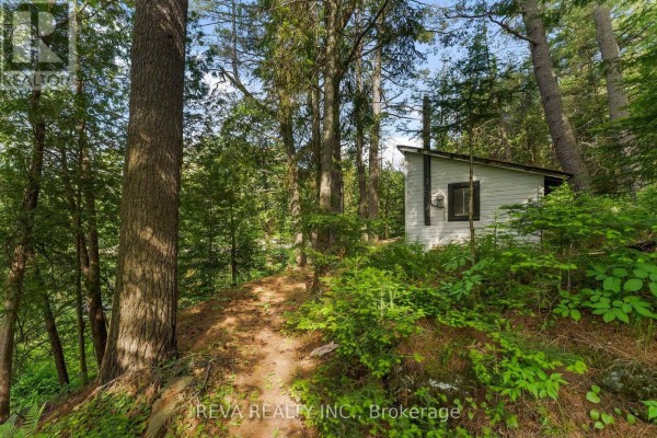 35532 Highway 28 Highway, Carlow/mayo, ON K0L2M0 Photo 5