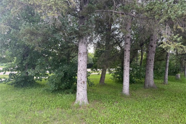 356 William Street, Arborg, MB R0C0A0 Photo 4