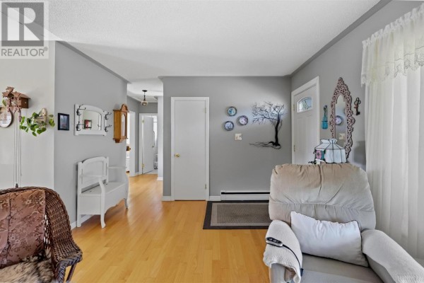 Living room - 357 Mcnabb St, Sault Ste Marie, ON P6B1Y8 Photo 3