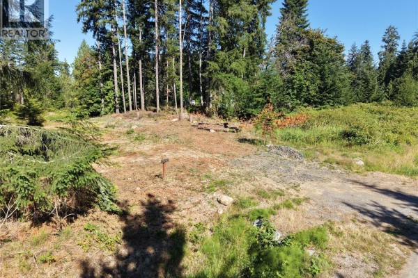 3570 Carriere Rd, Port Alberni, BC V9Y7M4 Photo 5