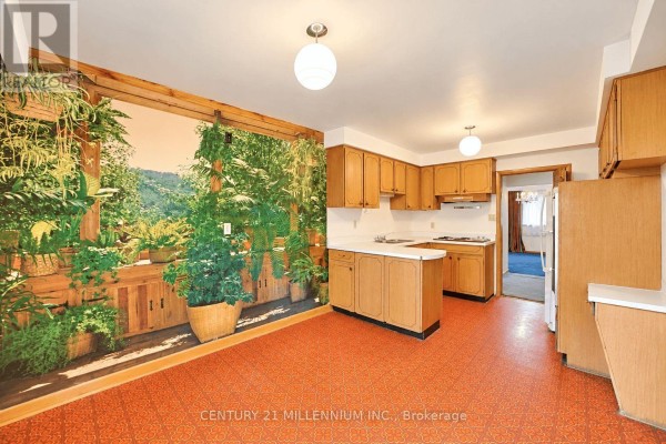 Cold room - 3578 Golden Orchard Drive, Mississauga, ON L4Y3H8 Photo 5